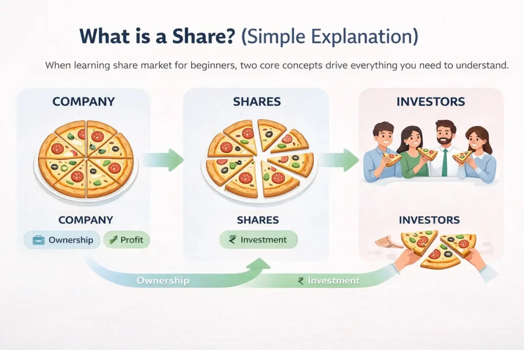 types of shares in India for beginners explained with simple example
