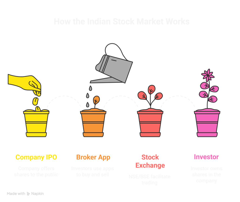 how stock market works in India step by step process for beginners IPO broker exchange investor